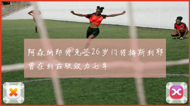 阿森纳即将免签26岁门将梅斯利耶曾在利兹联效力七年